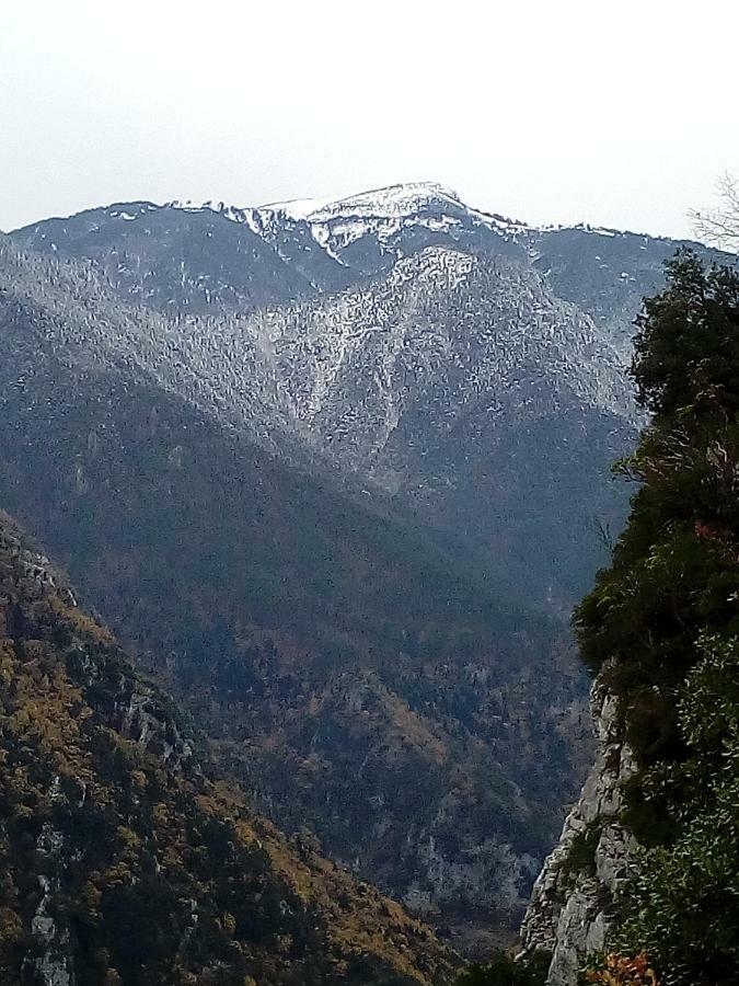 Apartment Near Olympus Mountain Litóchoron Dış mekan fotoğraf